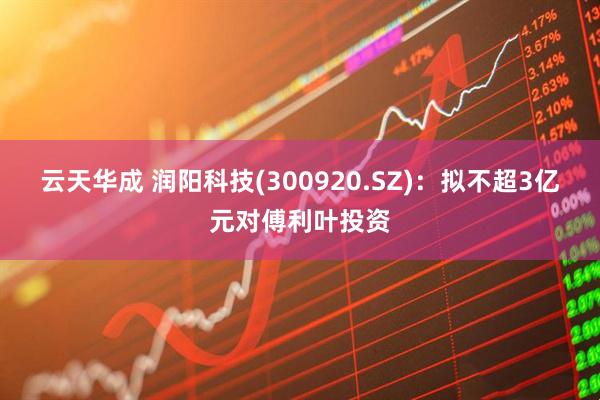 云天华成 润阳科技(300920.SZ)：拟不超3亿元对傅利叶投资